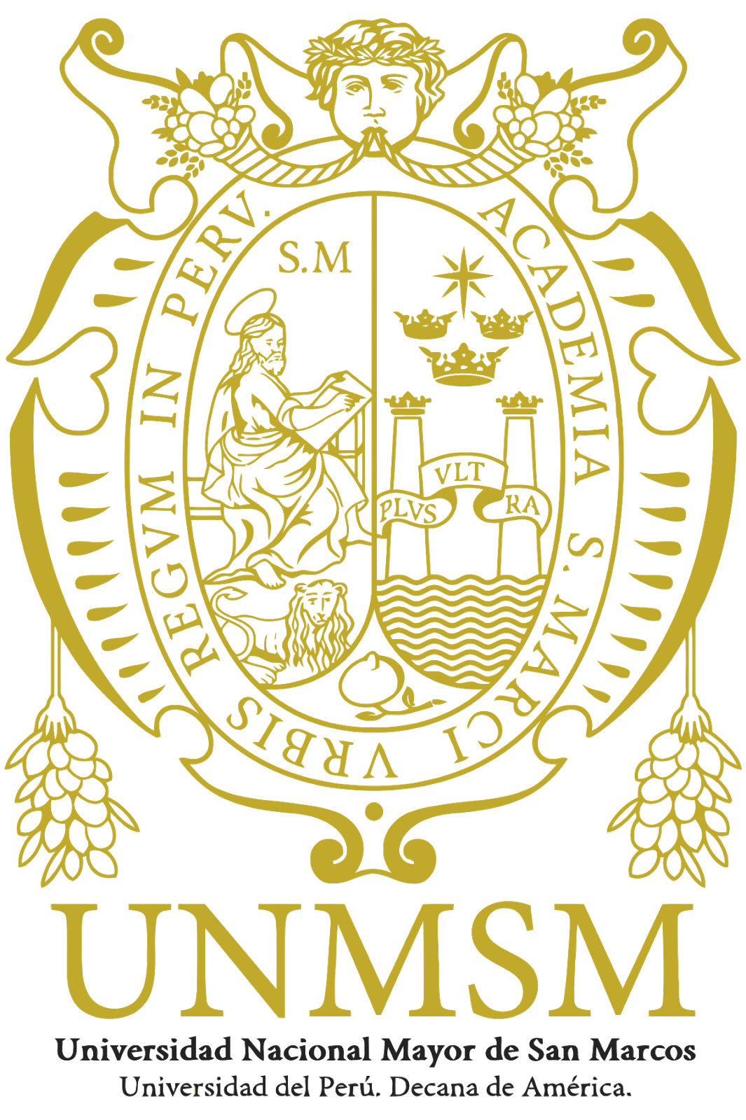 UNMSM